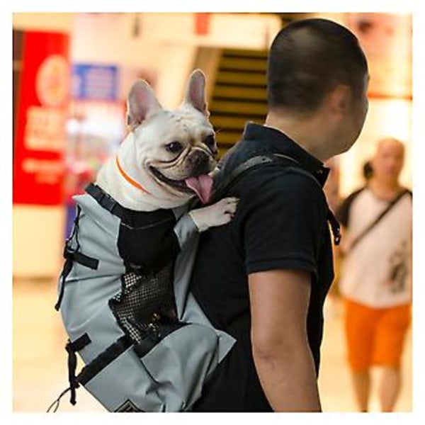 Justerbar Pet Hund Udendørs Rejse Rygsæk Til Vandreture Cykling Bærer Taske Til Hunde Fransk Bulldog Pug Bæreposer (M Grå)