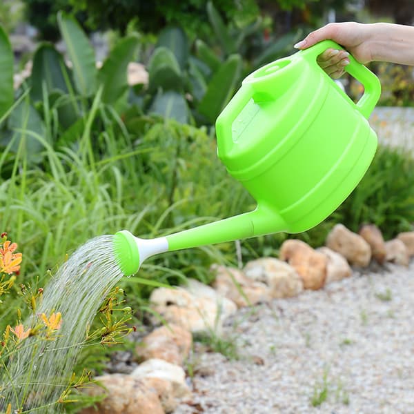 Vandkande med æble inkluderet grøn 2,5 l
