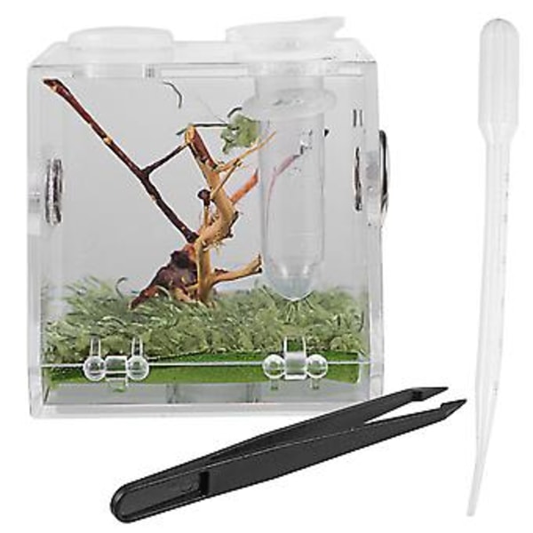 Reptil Uppfödningslåda med Droppflaska och Tång Husdjur Terrarium Transparent Fall