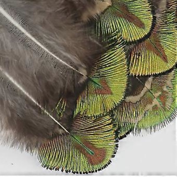 Påfuglefjer 50 Stykker Naturlige Fjer Håndlavede Håndværk Fjer Bulk til DIY Øreringe Vinger Drømmere Catcher Håndværk Aktiviteter Projekt Bryllup Fest Ho