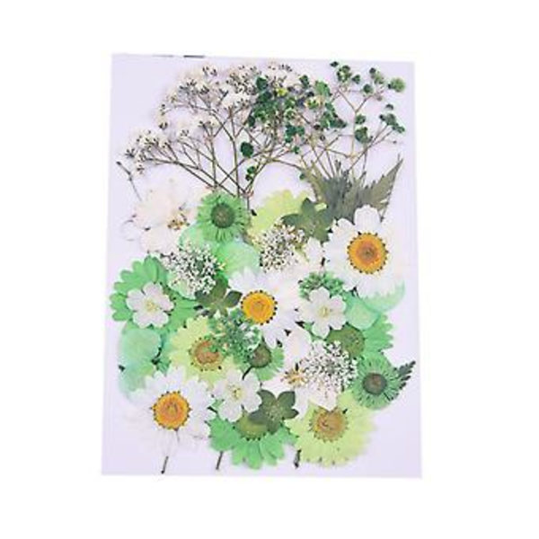 Tørrede Blomster Kit DIY Trykte Blomster Tørrede Håndværk Ægte Blomster Bogmærke Blomster Dekoration (Grøn Hvid)