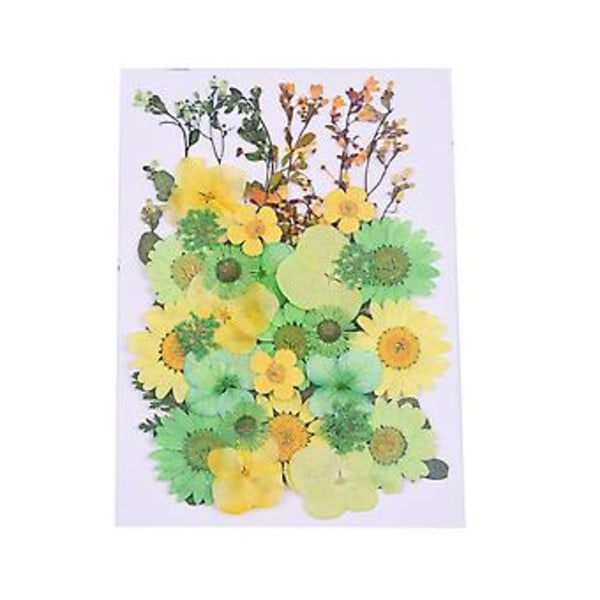 Dry Flower Kit DIY Pressed Flowers Dried Craft Real Flowers Bookmark Floral Decor( Green Yellow)