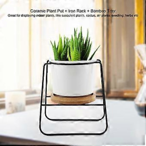 Keramisk blomsterpotte + jernstativholder + bambusbrett skrivebordssukkulent plante kaktusdisplay (#1)