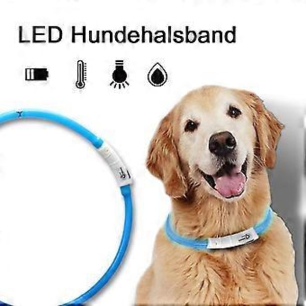 LED Lysende Halsbånd Hund Halsbånd USB Genopladelig Justerbar Længde Blå