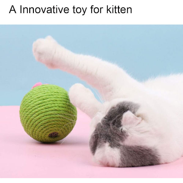 Katt Kibble Kløball Kaktus Katt Kløbrett Trening Kattunge