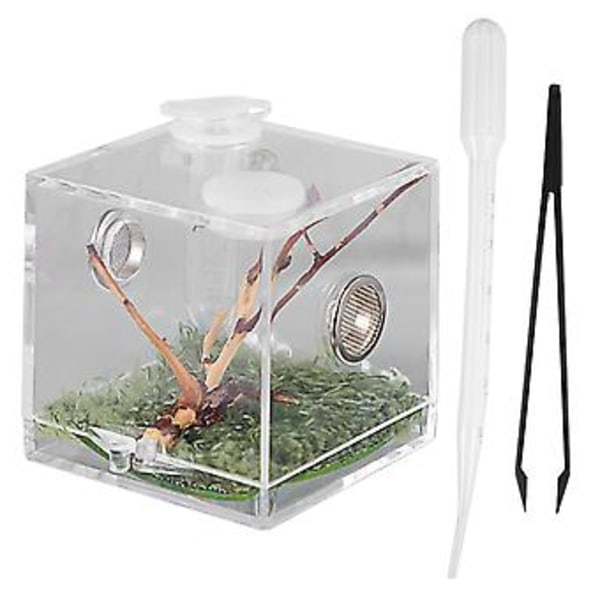 Reptil Uppfödningslåda med Droppflaska och Tång Husdjur Terrarium Transparent Fall