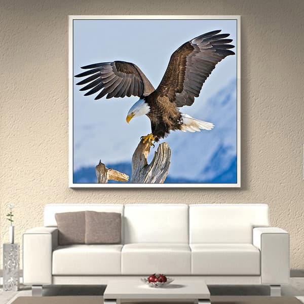 Målningar DIY 5D Diamantmålningssatser Örn Fly Eagle Wings