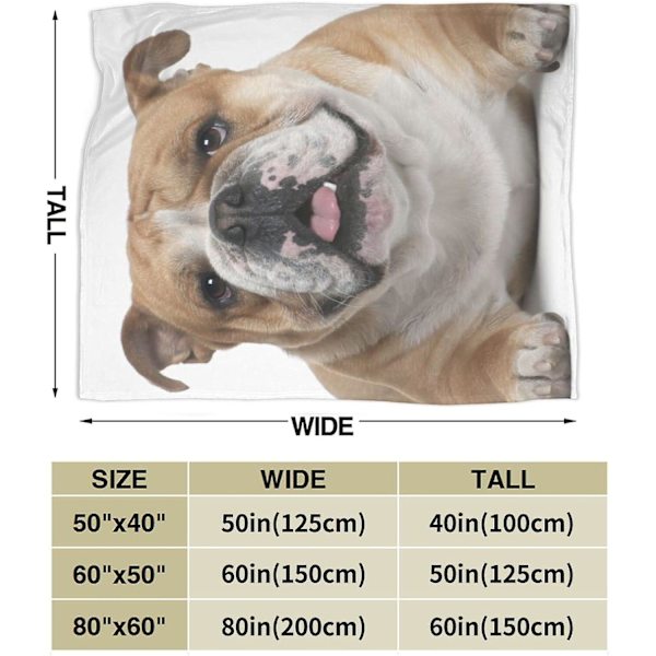 Flanellfleecefilt i engelsk bulldogg-mönster - mysig, mjuk, plyschig, lätt filt för soffa, säng 50x40in 125x100cm