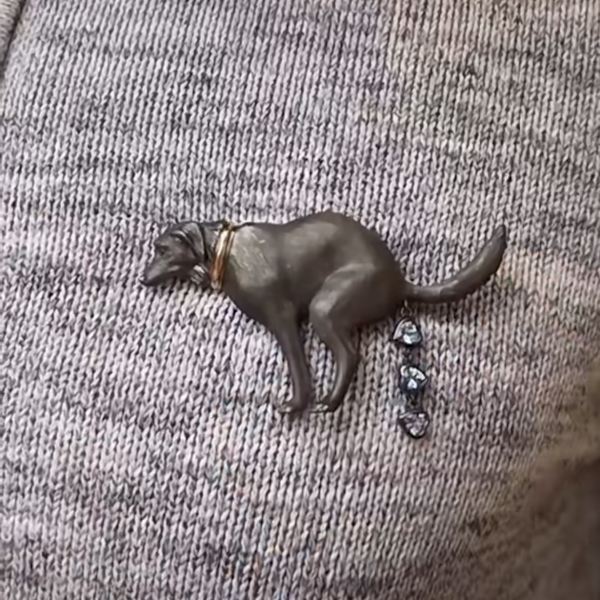 Rolig hundbajs-brosch i metall med diamantdesign, perfekt för tröjan