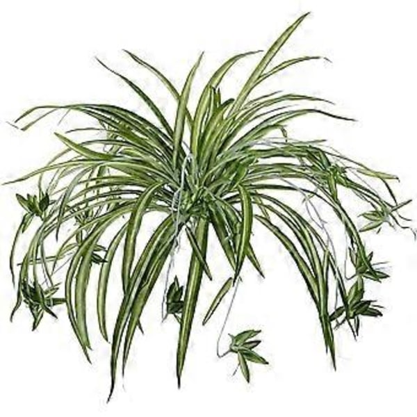 Everlasting Greenery, 2-pack konstgjorda ampelliljor, hängande dekoration, sidenblad & metallstjälkar, realistiskt utseende för hem, hotell, bröllop, kontor
