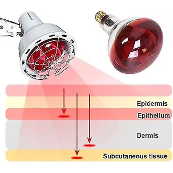 Fysioterapia Infrapunalampi 275w Elektromagneettinen Aaltohoitolaite 220v Sähköuuni Punainen Lamppu -cdsx (100W )