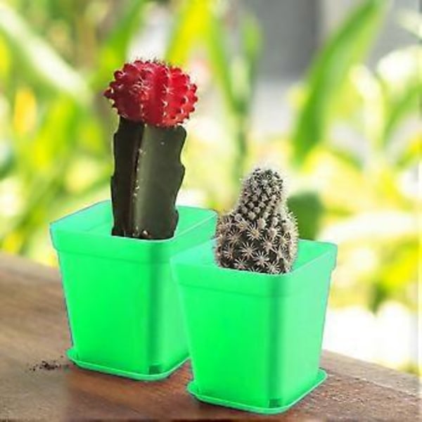 Firkantede plantepotter i plastik med bakker til frøplanter, omplantning og udstilling på kontoret eller i hjemmet