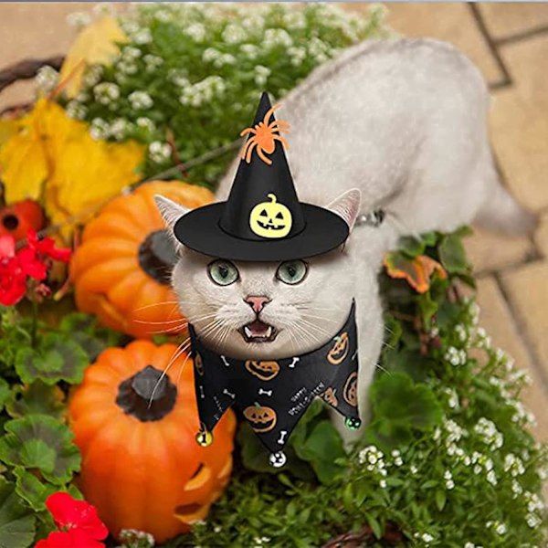 2-pack Halloween-kostymer för katter och hundar - Trollkarlhatt, Klockor och Halsband