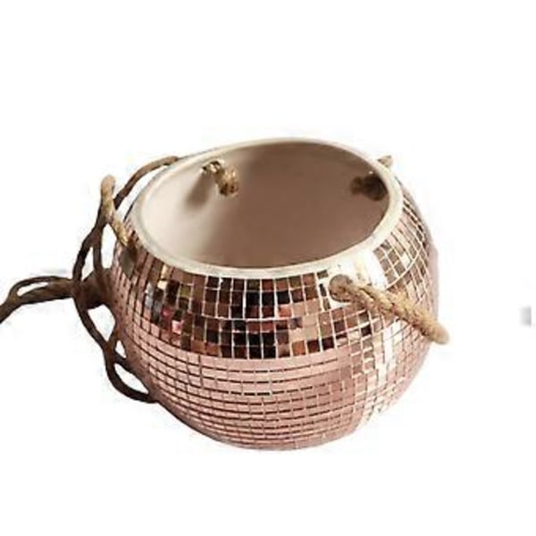 Hydroponiske hengende kurvplanter Fargerike mosaikkplanter Sukkulentplanter Keramiske planter