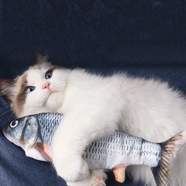 1 st Interaktiv katt leksak Stänkande Fisk Grå