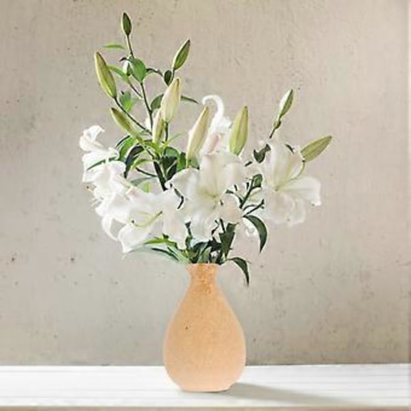 1 st Trä Blomvas Inomhus Dekorativ Vas Hem Blomsterarrangemang Behållare