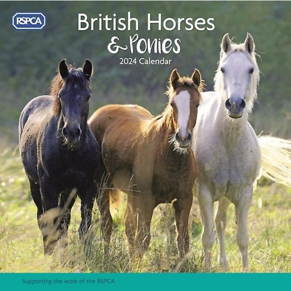 RSPCA British Horses Ponies Square Wall Calendar 2024
