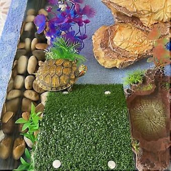 SZTXJ Solseng for skilpadder, Rampe for skilpaddeakvarium, Reptil M