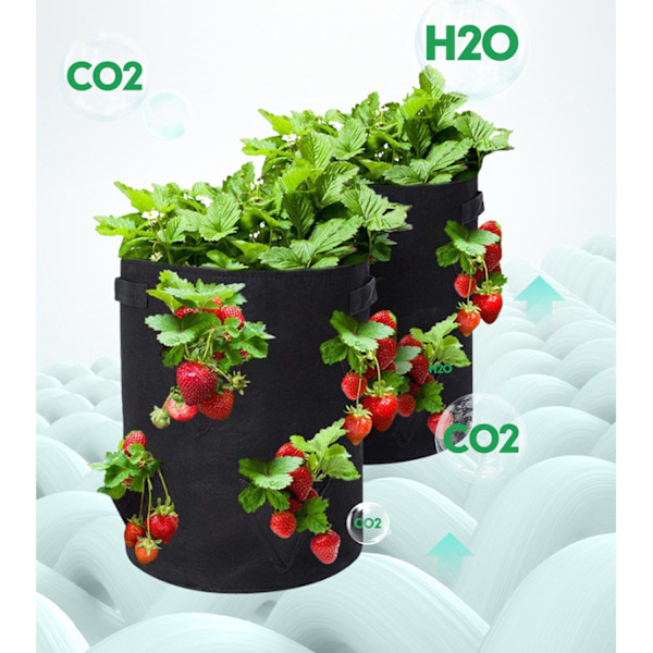 Jordbærpose - Jordbærplanteringspose - X2（svart）