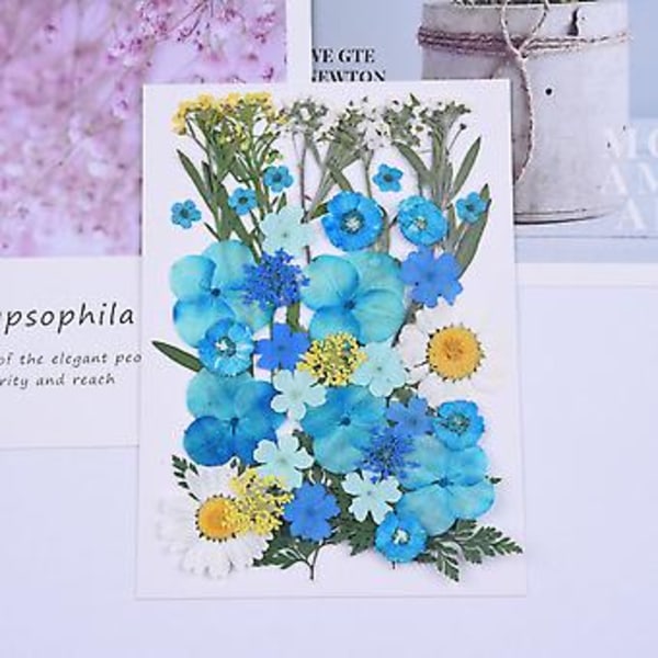 Tørrede Blomster Kit DIY Trykkede Blomster Tørrede Håndværk Ægte Blomster Bogmærke Blomster Dekoration (Efterår Gul)