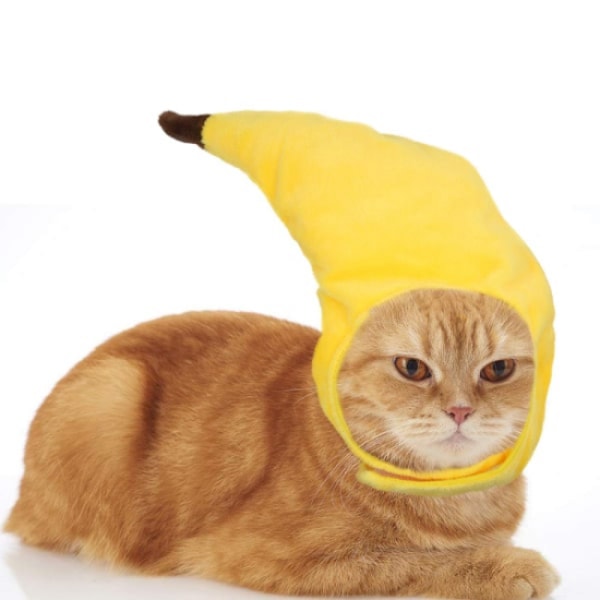 1 stk Kjæledyrhatt, hund, bananhatt, kreativ transformasjon, morsom katt
