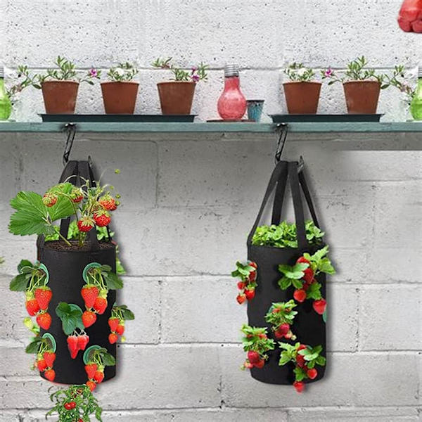 (3 Gallon 20*35cm (13 Huller) Mørkegrøn Sorte Prikker) 1 Stykke Halm