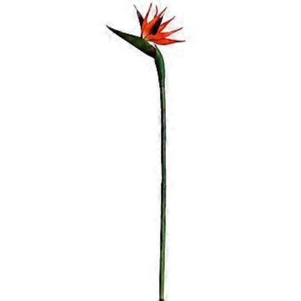 1 stk 21,8 tommer Stor Elegant Paradisfugl Kunstig Blomst for Hjem Kontor ( )