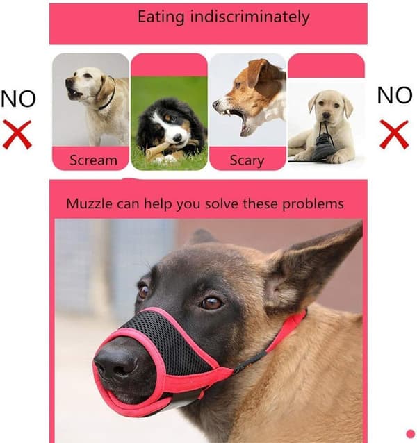 XL, Nylon hundemunnbind, justerbar stropp