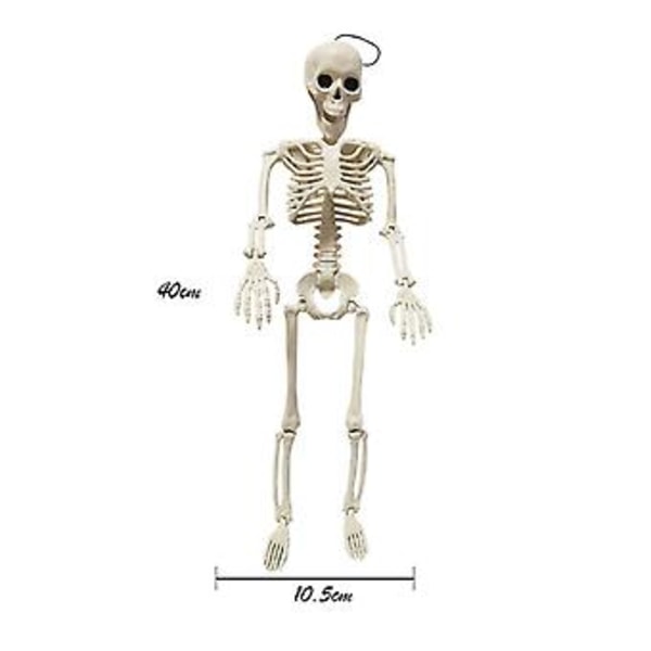 Halloween-skelett i plast, hopfällbar dekoration i form av en mänsklig skalle