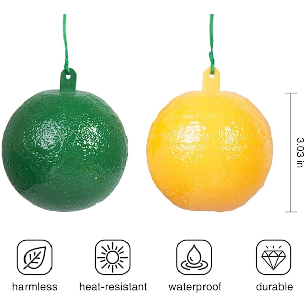 4-pack Of Fly Ball Fruit Fly Citrus Large Fruit Fly Sticky Board Fruit