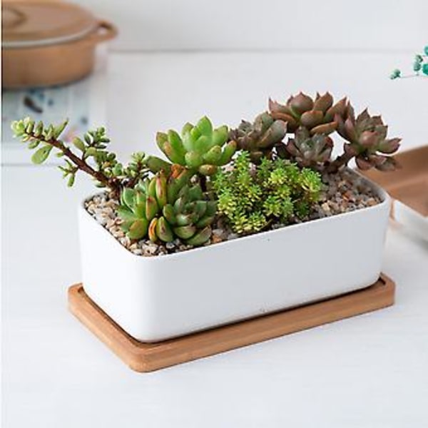1 Set Keramiikka Soikea Kukkaruukku Bambutarjotin kanssa Mehikasvien Istutusastia Puutarha Bonsai Ruukku Kukkaruukku Valkoinen (1 kpl Kukkaruukku 1 kpl Bambutarjotin)