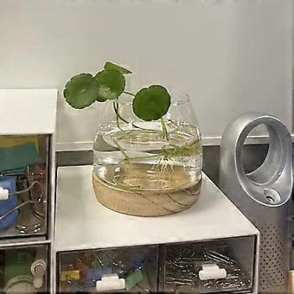Glasvase Blomsterarrangement Dekoration Vandplanter Hydroponiske Varer Skrivebords Akvarium (A)
