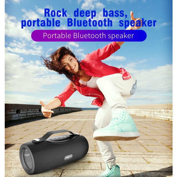 Bärbart trådlöst Bluetooth -högtalare Stereosystem TF FM
