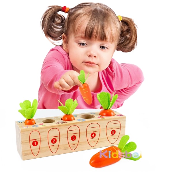 Montessori-leksaker i trä för småbarn Formstorlekssortering