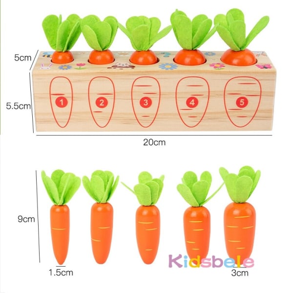 Montessori-leksaker i trä för småbarn Formstorlekssortering