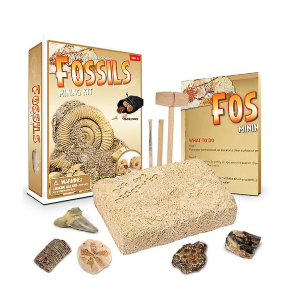 Mega Fossils Dig Kit – Dig Up 5 Fossils, Science And