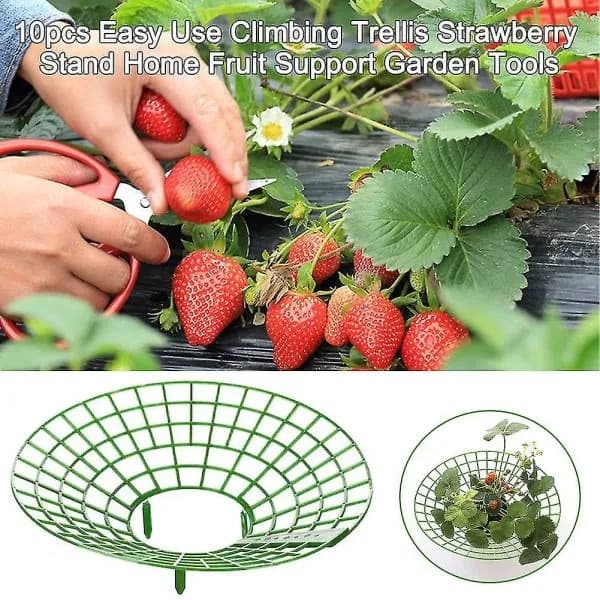 Sett med 10 jordbærplantestøtter og espalier