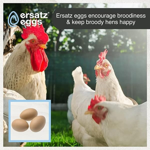 Falske hønseegg Sett Tre Falske Egg Hjelper Verpehøns DXGHC