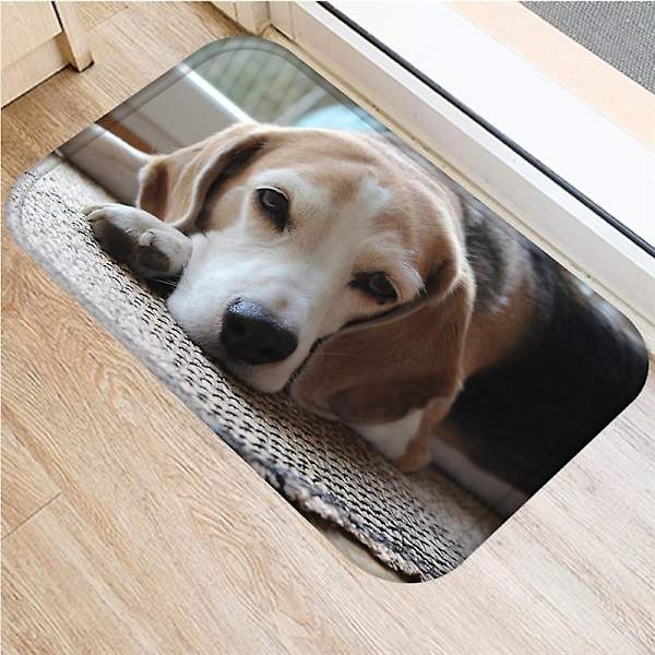 Söt Mops Husky Hund Mönster Anti-Slip Mocka Matta Sovrum Vardagsrum Mjuk Golvmatta Inomhus Mattor Heminredning-WELLNGS 4 40x60cm 16x24inch