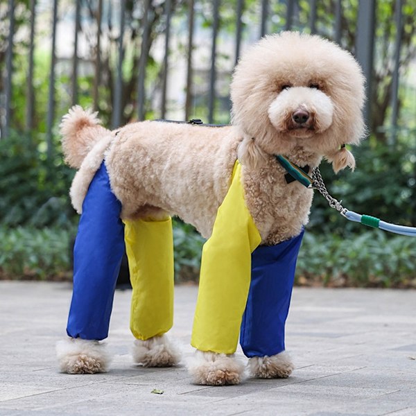 Vandtætte hundebenbeskyttere med seler til udendørs gåture Green rose red-WELLNGS Green rose red XL