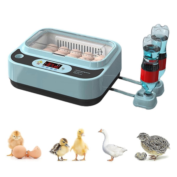 Automatisk Æg Inkubator Controller Digital LED Temperaturstyring Temperatur Fugtighedssensor Æg-WELLNGS 15Eggs