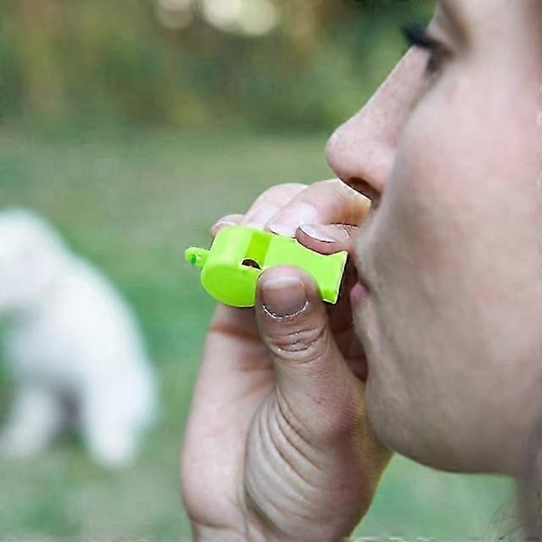 24/48 Stykker Neon Fløyter med Snorer Plastfløyter Festposefyll Dommerfløyter Kompatible med Raver Trenere Dommere Fester -WELLNGS 24PCS