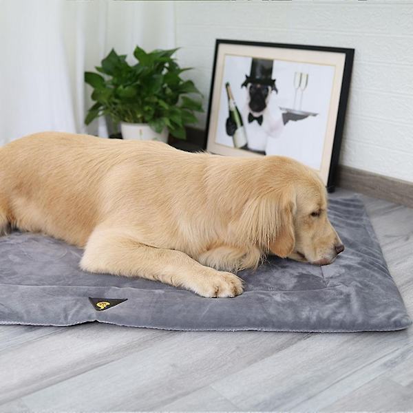 Hunde seng måtte tæppe kæledyr kasse pude hjem rejse hvalp killing sovepude brun Xl-WELLNGS Gray M