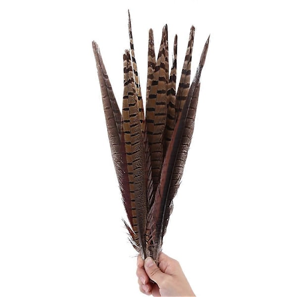 10 stk. Vakre Naturlige Lange Fasanfjær for DIY Håndverk Dekor 35-40cm-WELLNGS