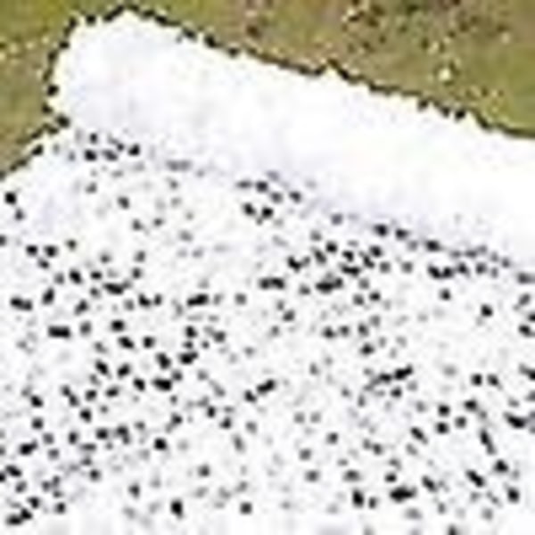 Kamouflage Nät Solskydd Kamouflage Nät Persienner Patio Mesh Nät för Camping Skytte Jakt-WELLNGS White 3m by 4m