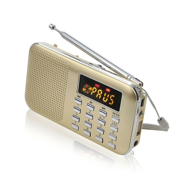 Bärbar radio, FM Am batteri och nätverksradio, mp3, högtalare, stöd TF-kort/ USB, ficklampa-WELLNGS gold