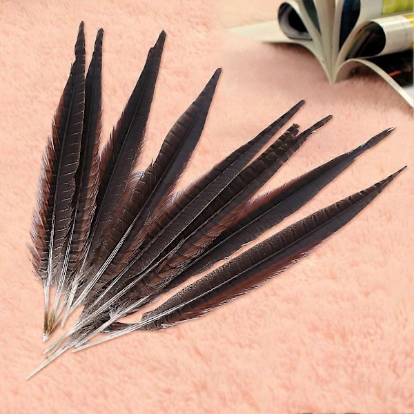 10 stk. Vakre Naturlige Lange Fasanfjær for DIY Håndverk Dekor 35-40cm-WELLNGS