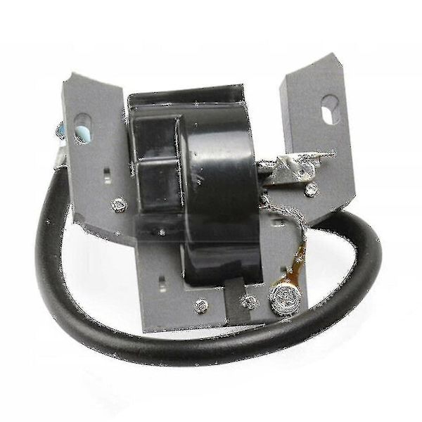 Sytytyskela Briggs Stratton 591420 398593 496914 793281 792395 B-WELLNGS