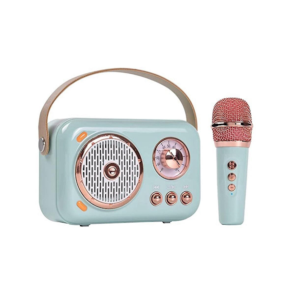 Bärbar Bluetooth-högtalare med mikrofonset, vintage Bluetooth-högtalare med hem (blå) - WELLNGS