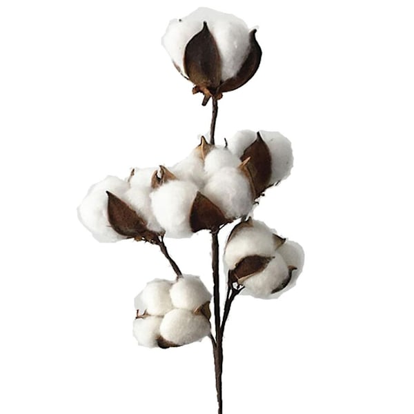 1 stk. Tørket kunstig bomullsblomst kunstig plante blomstergren fest hjemmeinnredning - WELLNGS